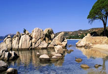 中超第12輪長春亞泰0-1成都蓉城 羅慕洛世界波周定洋染紅.